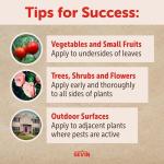 Sevin Insect Killer Dust 3LB