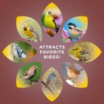 Audubon Park Sunflower Hearts & Chips Wild Bird Food, No Mess Sunflower Seeds for Birds, 5-Pound Bag