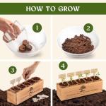 AVERGO Bonsai Tree Kit – Grow 5 Unique Varieties