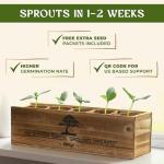 AVERGO Bonsai Tree Kit – Grow 5 Unique Varieties