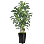 Wrbtn Realistic Artificial Indoor Plant Tree - Tall Fake Dracaena Potted Plant for Home Office Decor, Living Room & Bedroom - Lifelike Faux Plant Tree with Pot-Palm Tree (Black, 6FT)
