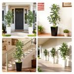 Wrbtn Realistic Artificial Indoor Plant Tree - Tall Fake Dracaena Potted Plant for Home Office Decor, Living Room & Bedroom - Lifelike Faux Plant Tree with Pot-Palm Tree (Black, 6FT)