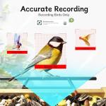 TT Nature Bird Feeder with Camera, Upgraded Smart Bird Feeder Al Identify for 10000 Species, Auto Capture & Real-time Notifications, Ideal Gift for Chirstmas