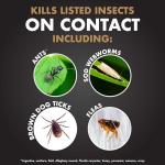 Spectracide Immunox Fungus Plus Insect Control For Lawns 32 Ounces, Dual Action, Hose-End Concentrate