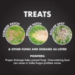 Spectracide Immunox Fungus Plus Insect Control For Lawns 32 Ounces, Dual Action, Hose-End Concentrate