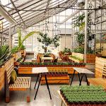 MIXC Plant Nursery Pots with Humidity Dome 4" Soft Transparent Plastic Gardening Pot Planting Containers Cups Planter Small Starter Seed Starting Trays for Seedling with 10pcs Plant Labels，30 Sets