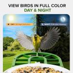 Birvio™ Smart Bird Feeder with Camera, Solar Powered, 1080P HD WiFi Live Stream, AI Bird Identification, Instant Motion Alerts