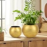 Oairse Round Gold Metal Flower Pots - 2 PCS Galvanized Planters with Drainage Hole Farmhouse Rustic Garden Rustproof Vintage Metal Plant Pot for Flowers Plant Herb Home Centerpieces Table Decorations
