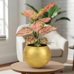 Oairse Round Gold Metal Flower Pots - 2 PCS Galvanized Planters with Drainage Hole Farmhouse Rustic Garden Rustproof Vintage Metal Plant Pot for Flowers Plant Herb Home Centerpieces Table Decorations