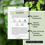 Sow Right Seeds - Cilantro Seeds for Planting - Non-GMO Heirloom Packet with Instructions to Grow a Kitchen Herb Garden - Great Addition to Your Cooking - Make Coriander Seasoning - Zesty Herb (1)