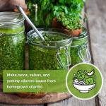 Sow Right Seeds - Cilantro Seeds for Planting - Non-GMO Heirloom Packet with Instructions to Grow a Kitchen Herb Garden - Great Addition to Your Cooking - Make Coriander Seasoning - Zesty Herb (1)