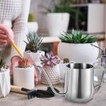 Small Plant Watering Can, 12oz/350ml Stainless Steel Tiny Mini Plant Watering Pot with Long Spout Accessories Tools for Indoor Outdoor Garden Flowers Bonsai (Silver)