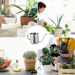 Small Plant Watering Can, 12oz/350ml Stainless Steel Tiny Mini Plant Watering Pot with Long Spout Accessories Tools for Indoor Outdoor Garden Flowers Bonsai (Silver)