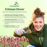 Outsidepride Crimson Clover Seeds - 10 lbs. Annual, Nitrocoated, & Inoculated Ground Cover Seeds, Ideal Clover Seed for Lawn, Cover Crop, Pasture, Hay, Green Manure & Wildlife Forage