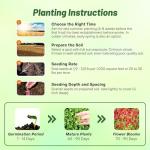 Outsidepride Crimson Clover Seeds - 10 lbs. Annual, Nitrocoated, & Inoculated Ground Cover Seeds, Ideal Clover Seed for Lawn, Cover Crop, Pasture, Hay, Green Manure & Wildlife Forage