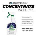 Grower's Ally Spider Mite Spray - Ready-to-Use Insect & Spider Mites Killer for Plants Indoor & Outdoor - OMRI Listed Garden Pest Control Plant Spray - Bee, Pet & Kid Safe Natural Formula - 24 Oz