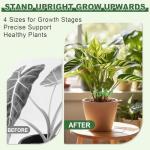 Virmoek 8pcs Plant Stem Support, Plant Support for Indoor Plants, 4 Sizes Climbing Houseplant Stem Holders, Reusable Plant Stabilizer, Indoor Plants Accessories