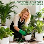 Virmoek 8pcs Plant Stem Support, Plant Support for Indoor Plants, 4 Sizes Climbing Houseplant Stem Holders, Reusable Plant Stabilizer, Indoor Plants Accessories