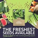 Organic Summer Seeds Variety Pack - 12 Individual Packs - 2026 Season - Basil, Tomatoes, Cucumber, Watermelon and More! for Indoor & Outdoor Planting (Non-GMO, Certified Organic)