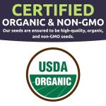 Organic Summer Seeds Variety Pack - 12 Individual Packs - 2026 Season - Basil, Tomatoes, Cucumber, Watermelon and More! for Indoor & Outdoor Planting (Non-GMO, Certified Organic)