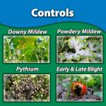 Monterey Complete Disease Control Bundled with Measuring Spoon - Fungicide & Bactericide for Control of Garden & Lawn Diseases - 1 Pint