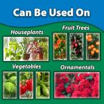 Monterey Complete Disease Control Bundled with Measuring Spoon - Fungicide & Bactericide for Control of Garden & Lawn Diseases - 1 Pint