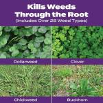 Scotts Turf Builder Bonus S Southern Weed & Feed2, Weed Killer and Lawn Fertilizer, 5,000 sq. ft., 17.24 lbs.