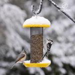 Kingsyard Finch Feeders for Outdoors Hanging, Metal Mesh Tube Bird Feeder for Nyjer/Thistle Seed, 2.5 lbs Large Capacity (Yellow)