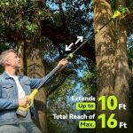 Electric Pole Saws for Tree Trimming, 8" & 6" Mini Chainsaw Cordless with Extension Pole & 2x4.0Ah Battery, 20V Brushless Pole Saw Battery Powered, 16 Ft Reach, Tree Trimmer Limb Branch Cutter Pruner