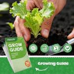 Fruivity 30 Heirloom Seeds Variety Pack - 18,500+ Non-GMO Seeds for Planting Vegetables, Home Garden Seeds for Hydroponic, Indoor and Outdoor, Christmas Unique Gift for Mother, Women, Mom, Friend, Her