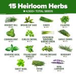 15 Heirloom Culinary Herb Seeds - Non-GMO