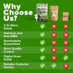 15 Heirloom Culinary Herb Seeds - Non-GMO