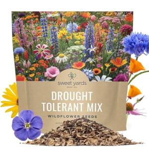 Drought Tolerant Wildflowers Mix – Extra Large Packet – Over 7,500 Open Pollinated Non-GMO Seeds – 21 Different Dryland Species