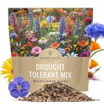 Drought Tolerant Wildflowers Mix – Extra Large Packet – Over 7,500 Open Pollinated Non-GMO Seeds – 21 Different Dryland Species