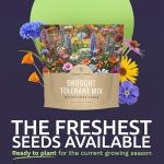 Drought Tolerant Wildflowers Mix – Extra Large Packet – Over 7,500 Open Pollinated Non-GMO Seeds – 21 Different Dryland Species