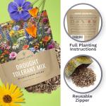 Drought Tolerant Wildflowers Mix – Extra Large Packet – Over 7,500 Open Pollinated Non-GMO Seeds – 21 Different Dryland Species