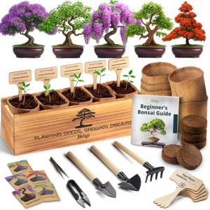 AVERGO Bonsai Tree Kit – Grow 5 Unique Varieties