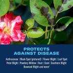 BioAdvanced Disease Control for Roses, Flowers and Shrubs, Concentrate, 32 oz, 42 Gals of Spray