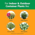 Miracle-Gro Cactus, Palm and Citrus Potting Mix, for Indoor or Outdoor Potted Plants, Great for Succulents, 8 qt., 2-Pack