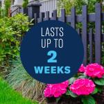 BioAdvanced Disease Control for Roses, Flowers and Shrubs, Concentrate, 32 oz, 42 Gals of Spray