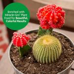 Miracle-Gro Cactus, Palm and Citrus Potting Mix, for Indoor or Outdoor Potted Plants, Great for Succulents, 8 qt., 2-Pack