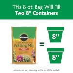 Miracle-Gro Cactus, Palm and Citrus Potting Mix, for Indoor or Outdoor Potted Plants, Great for Succulents, 8 qt., 2-Pack