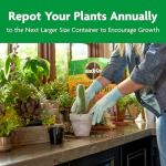 Miracle-Gro Cactus, Palm and Citrus Potting Mix, for Indoor or Outdoor Potted Plants, Great for Succulents, 8 qt., 2-Pack