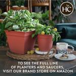 The HC Companies 12 Inch Eclipse Square Planter Pots with Drainage Holes & Attached Saucer, Lightweight UV-Resistant Plastic Indoor Outdoor Planters, 2-Pack Flower Pots for Garden & Home Decor, Black