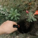 Garden Shovel, Garden Hand Trowel, Heavy Duty Hand Shovel with Ergonomic Handle, Small Gardening Tools for Digging, Gardening Spade Trowel Tools