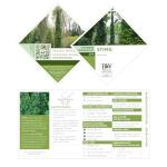 Proven Winners 2 Gal. Sting Arborvitae Shrub