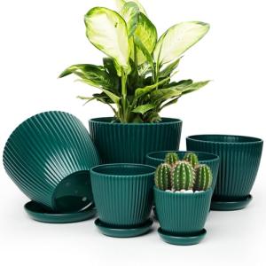 Vodotion - Plant Pots Indoor with Saucers & Drainage - 6 Pack Flower Pots - Plastic Planters for Indoor Planter - 7.5/6.6/5.8/5.0/4.3/3.5 inches Sizes for All Different Types of Plants-Dark Green
