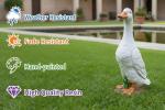 AshyAtom White Duck Statue Outdoor Decor,9.8''(H) Realistic Standing Duck Garden Sculptures for Yard Lawn,Resin Animal Figurines Home Porch Patio Art Decorations