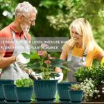 Vodotion - Plant Pots Indoor with Saucers & Drainage - 6 Pack Flower Pots - Plastic Planters for Indoor Planter - 7.5/6.6/5.8/5.0/4.3/3.5 inches Sizes for All Different Types of Plants-Dark Green