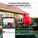 Smart Bird Feeder with Camera Solar Powered, 2K HD Video, AI Bird Species Identification, Instant Arrival Alerts, Weatherproof Design for Effortless Birdwatching, Best Gift for BirdLovers, Red